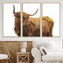 Highland Cow Wall Art Canvas Print – Framed Scottish Bull