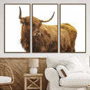 Highland Cow Wall Art Canvas Print – Framed Scottish Bull