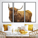 Highland Cow Wall Art Canvas Print – Framed Scottish Bull