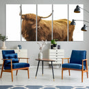 Highland Cow Wall Art Canvas Print – Framed Scottish Bull