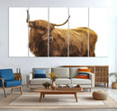 Highland Cow Wall Art Canvas Print – Framed Scottish Bull