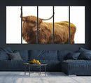 Highland Cow Wall Art Canvas Print – Framed Scottish Bull