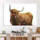 Highland Cow Wall Art Canvas Print – Framed Scottish Bull