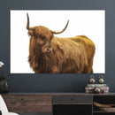Highland Cow Wall Art Canvas Print – Framed Scottish Bull