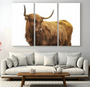 Highland Cow Wall Art Canvas Print – Framed Scottish Bull