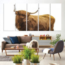 Highland Cow Wall Art Canvas Print – Framed Scottish Bull