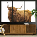 Highland Cow Wall Art Canvas Print – Framed Scottish Bull