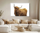 Highland Cow Wall Art Canvas Print – Framed Scottish Bull