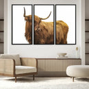 Highland Cow Wall Art Canvas Print – Framed Scottish Bull