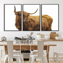 Highland Cow Wall Art Canvas Print – Framed Scottish Bull