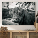 Highland Cow Wall Art Canvas Print Scottish Cattle Canvas by MyGreatCanvas | Canvas Wall Art Prints | Photo Prints & Wall Decor