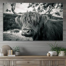 Highland Cow Wall Art Canvas Print Scottish Cattle Canvas by MyGreatCanvas | Canvas Wall Art Prints | Photo Prints & Wall Decor