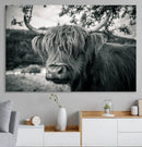Highland Cow Wall Art Canvas Print Scottish Cattle Canvas by MyGreatCanvas | Canvas Wall Art Prints | Photo Prints & Wall Decor