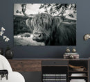 Highland Cow Wall Art Canvas Print Scottish Cattle Canvas by MyGreatCanvas | Canvas Wall Art Prints | Photo Prints & Wall Decor