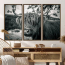 Highland Cow Wall Art Canvas Print Scottish Cattle Canvas by MyGreatCanvas | Canvas Wall Art Prints | Photo Prints & Wall Decor