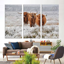 Highland Cows in Snow Canvas Art Print, Highland Cattle