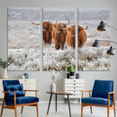 Highland Cows in Snow Canvas Art Print, Highland Cattle