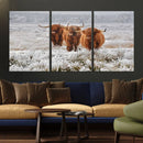 Highland Cows in Snow Canvas Art Print, Highland Cattle