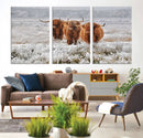 Highland Cows in Snow Canvas Art Print, Highland Cattle