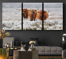 Highland Cows in Snow Canvas Art Print, Highland Cattle