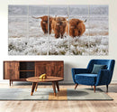 Highland Cows in Snow Canvas Art Print, Highland Cattle