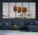 Highland Cows in Snow Canvas Art Print, Highland Cattle