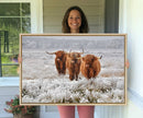 Highland Cows in Snow Canvas Art Print, Highland Cattle