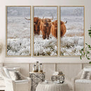 Highland Cows in Snow Canvas Art Print, Highland Cattle