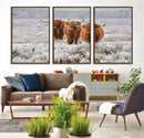 Highland Cows in Snow Canvas Art Print, Highland Cattle