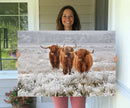 Highland Cows in Snow Canvas Art Print, Highland Cattle