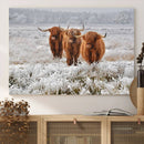 Highland Cows in Snow Canvas Art Print, Highland Cattle