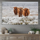 Highland Cows in Snow Canvas Art Print, Highland Cattle