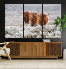 Highland Cows in Snow Canvas Art Print, Highland Cattle