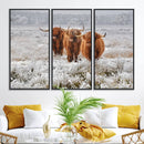 Highland Cows in Snow Canvas Art Print, Highland Cattle