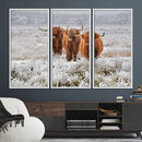 Highland Cows in Snow Canvas Art Print, Highland Cattle