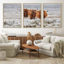 Highland Cows in Snow Canvas Art Print, Highland Cattle
