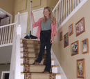 Zippi Sweeper Max by Zippi