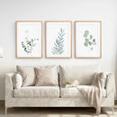 Watercolor Botanical Set of 3 Prints Wall Decor by Wall Art Set