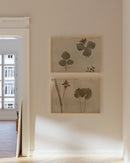 Botanical Thoughts II