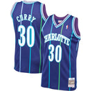 Dell Curry Charlotte Hornets Mitchell & Ness Purple Hardwood Classics 1994-95 Swingman Jersey by Dynasty Sports & Framing
