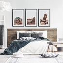 Arches National Park Wall Art Set. Horse in the Desert by Wall Art Set