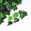 Sample Panel – Boston Ivy Green Wall (Small Sample) by Designer Plants USA