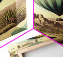 Retro Art Deco Style Hot Air Balloon Art, Framed Canvas print, framed wall art, desert landscape with cactus