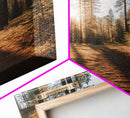 Trees Wall Art, Woods Wall Decor, Nature Art Print, Autumn Art Print, Photography Print, Wall Decor, Canvas Print, Wall Art, Framed Canvas