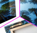 Trees Art Print, Forest Wall Art, Nature Print, Canvas Print, Wall Art, Vertical Art, First Home Gift, Kitchen Wall Decor, Prints Wall Art