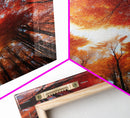Fall Wall Art, Trees Art Print, Nature Wall Art, Canvas Print, Wall Art, Vertical Art, Nature Lover Gift, Modern Office Art, Living Room Art