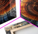 Rustic Home Decor Tree Ring Print, Wood Frame Art, Canvas Print, Abstract Minimalist Modern Farmhouse Wall Art, Living Room Decor