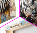Zebra Having a Nap - Framed Canvas Print - Ready to Hang - Zebra Painting - Animal wall art - Safari Art