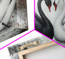 Dark Swans Forming a Heart - Framed Canvas Print - Dark Romance Wall Art - Dark Academia Art - Couple Gift Idea - Goth Art - Gothic Decor