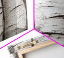 Classic Birch Trees Black and White Wall Art Framed Canvas Print Rustic Farmhouse Art Tall Narrow Art Guest Room Decor